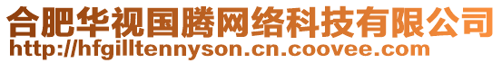 合肥華視國(guó)騰網(wǎng)絡(luò)科技有限公司