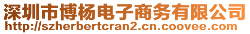 深圳市博杨电子商务有限公司