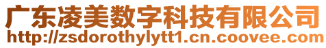 廣東凌美數(shù)字科技有限公司