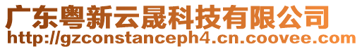 廣東粵新云晟科技有限公司