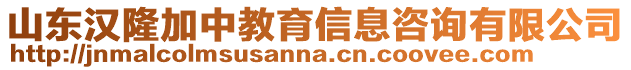 山東漢隆加中教育信息咨詢有限公司