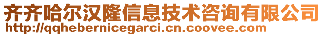 齊齊哈爾漢隆信息技術咨詢有限公司