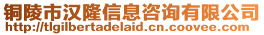 銅陵市漢隆信息咨詢有限公司