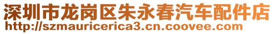 深圳市龍崗區朱永春汽車配件店