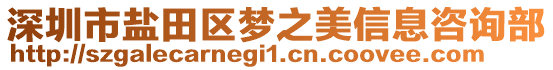 深圳市鹽田區(qū)夢之美信息咨詢部