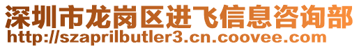 深圳市龍崗區(qū)進飛信息咨詢部