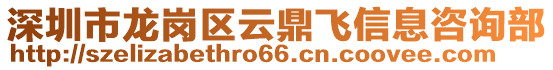 深圳市龍崗區(qū)云鼎飛信息咨詢部