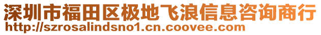 深圳市福田區極地飛浪信息咨詢商行