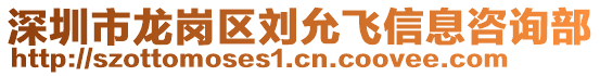 深圳市龍崗區(qū)劉允飛信息咨詢部