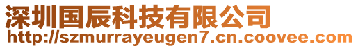 深圳國辰科技有限公司