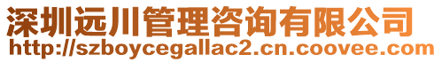 深圳遠(yuǎn)川管理咨詢有限公司