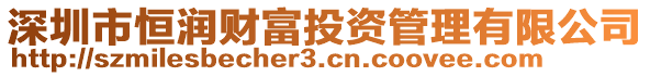 深圳市恒潤(rùn)財(cái)富投資管理有限公司