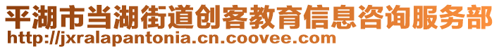 平湖市當湖街道創(chuàng)客教育信息咨詢服務部