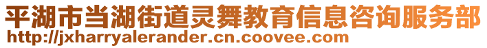 平湖市當(dāng)湖街道靈舞教育信息咨詢服務(wù)部