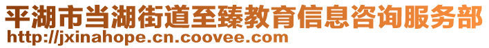 平湖市當(dāng)湖街道至臻教育信息咨詢服務(wù)部