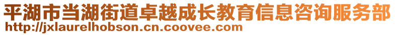 平湖市當(dāng)湖街道卓越成長教育信息咨詢服務(wù)部