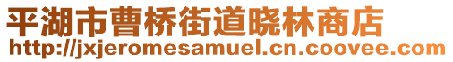 平湖市曹橋街道曉林商店