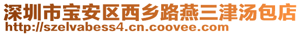 深圳市寶安區(qū)西鄉(xiāng)路燕三津湯包店