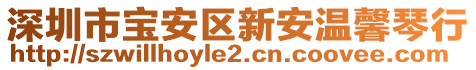 深圳市寶安區(qū)新安溫馨琴行