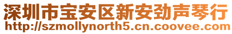 深圳市寶安區新安勁聲琴行