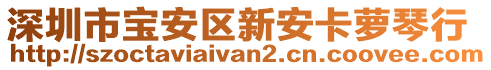 深圳市寶安區新安卡蘿琴行