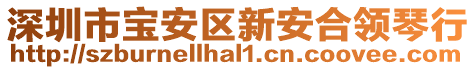 深圳市寶安區新安合領琴行