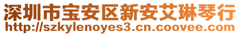 深圳市寶安區(qū)新安艾琳琴行