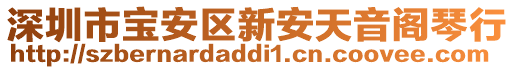 深圳市寶安區(qū)新安天音閣琴行