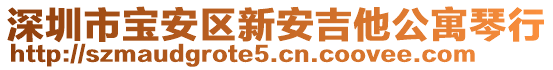 深圳市寶安區(qū)新安吉他公寓琴行