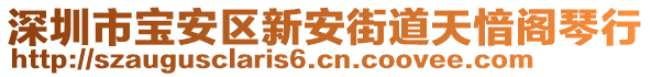 深圳市寶安區(qū)新安街道天愔閣琴行