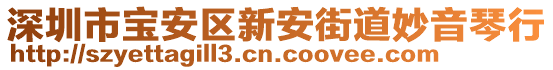 深圳市寶安區(qū)新安街道妙音琴行