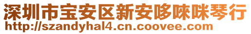 深圳市寶安區(qū)新安哆唻咪琴行