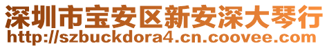 深圳市寶安區(qū)新安深大琴行