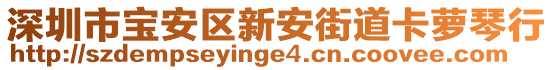 深圳市寶安區(qū)新安街道卡蘿琴行