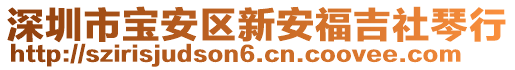 深圳市寶安區(qū)新安福吉社琴行