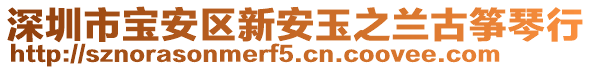 深圳市寶安區新安玉之蘭古箏琴行