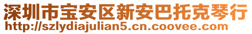 深圳市寶安區(qū)新安巴托克琴行