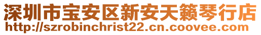 深圳市寶安區新安天籟琴行店