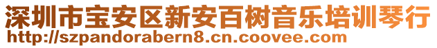深圳市寶安區新安百樹音樂培訓琴行