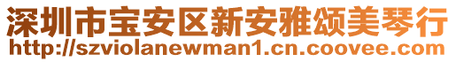 深圳市寶安區(qū)新安雅頌美琴行