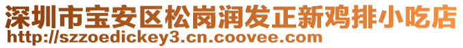 深圳市寶安區(qū)松崗潤發(fā)正新雞排小吃店