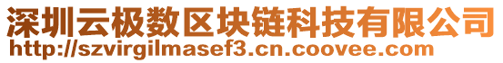 深圳云極數(shù)區(qū)塊鏈科技有限公司