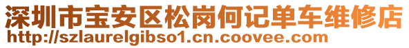 深圳市寶安區(qū)松崗何記單車維修店