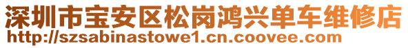 深圳市寶安區(qū)松崗鴻興單車維修店