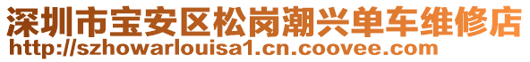 深圳市寶安區(qū)松崗潮興單車維修店