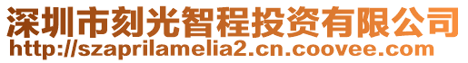 深圳市刻光智程投資有限公司