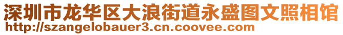 深圳市龍華區(qū)大浪街道永盛圖文照相館