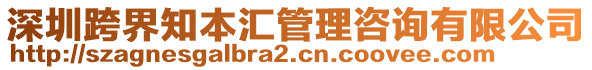 深圳跨界知本匯管理咨詢有限公司