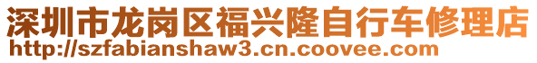 深圳市龍崗區福興隆自行車修理店