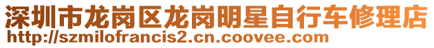 深圳市龍崗區龍崗明星自行車修理店